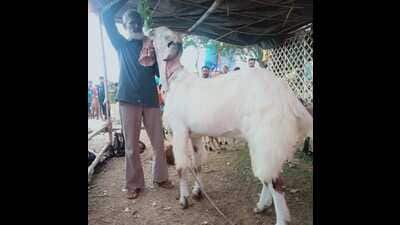Ashraf Hussain with his goat at Joggers Park in Lucknow. (HT)