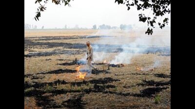 During the past five years, the Centre sanctioned  ₹1,370 crore for crop residue management, without any state share. From 2018 to 2022, the Centre released  ₹269 crore,  ₹273 crore,  ₹272 crore,  ₹331 crore and  ₹225 crore, say officials. (File photo)