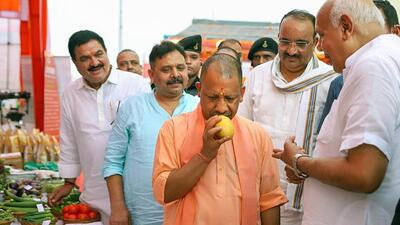 Uttar Pradesh chief minister Yogi Adityanath checks the quality of mangoes before a consignment is sent to Sharjah from Varanasi. (PTI PHOTO) Uttar Pradesh chief minister Yogi Adityanath checks the quality of mangoes before a consignment is sent to Sharjah from Varanasi. (PTI PHOTO)