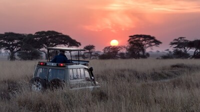 Wildlife safari: Embark on an awe-inspiring safari adventure where you can witness majestic animals in their natural habitats. Explore wildlife reserves known for their conservation efforts and take guided tours to spot elephants, lions, giraffes, and more. Learning about wildlife conservation while observing these incredible creatures up close creates a unique and educational experience for the whole family. (Unsplash) Wildlife safari: Embark on an awe-inspiring safari adventure where you can witness majestic animals in their natural habitats. Explore wildlife reserves known for their conservation efforts and take guided tours to spot elephants, lions, giraffes, and more. Learning about wildlife conservation while observing these incredible creatures up close creates a unique and educational experience for the whole family. (Unsplash)