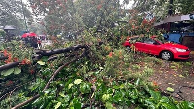 .A tree fell on a car at the Kopri road in Thane East. The IMD has predicted "moderate to heavy" showers in the city and suburbs with a possibility of occasional intense rain spells in the next 24 hours. The IMD on Saturday issued an orange alert for Raigad and Ratnagiri while a yellow alert for Palghar, Mumbai, Thane, and Sindhudurg regions as the heavy rainfall battered the parts of Maharashtra. (HT Photo/Praful Gangurde) .A tree fell on a car at the Kopri road in Thane East. The IMD has predicted "moderate to heavy" showers in the city and suburbs with a possibility of occasional intense rain spells in the next 24 hours. The IMD on Saturday issued an orange alert for Raigad and Ratnagiri while a yellow alert for Palghar, Mumbai, Thane, and Sindhudurg regions as the heavy rainfall battered the parts of Maharashtra. (HT Photo/Praful Gangurde)