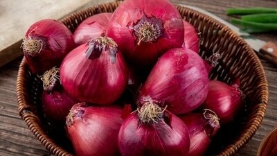 Those watching weight, onions are hardly a cause of concern. They are low in calories and high in nutrients. Onion are storehouse of Vitamin C, fibre and plant compounds having antioxidant and anti-inflammatory properties. (Freepik) Those watching weight, onions are hardly a cause of concern. They are low in calories and high in nutrients. Onion are storehouse of Vitamin C, fibre and plant compounds having antioxidant and anti-inflammatory properties. (Freepik)