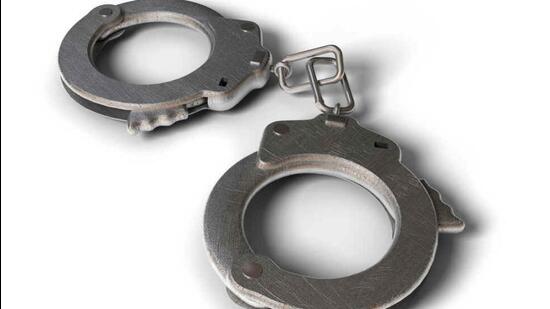 Cracking down on fraud immigration firms in Mohali, local police have arrested four persons in the past eight days. (HT File)