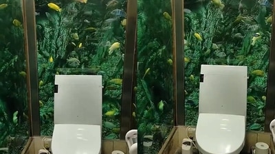 This unique bathroom in Japan will make your jaw drop. (Twitter/@JGnuman197) This unique bathroom in Japan will make your jaw drop. (Twitter/@JGnuman197)