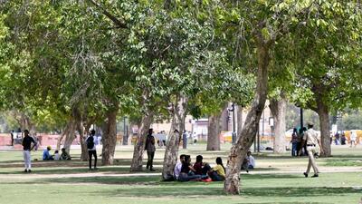 DTA is the umbrella body that is supposed to oversee implementation of DPTA, say experts. (ANI) DTA is the umbrella body that is supposed to oversee implementation of DPTA, say experts. (ANI)