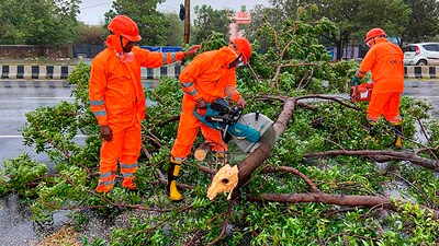 NDRF personnel clear trees uprooted following the landfall of cyclone Biparjoy in Gujarat's Gandhidham. The intensity of the storm has reduced from 'very severe' to 'severe' category hours after making landfall. (PTI) NDRF personnel clear trees uprooted following the landfall of cyclone Biparjoy in Gujarat's Gandhidham. The intensity of the storm has reduced from 'very severe' to 'severe' category hours after making landfall. (PTI)