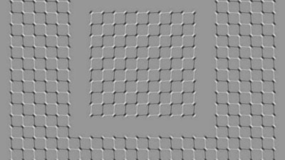 Do you think the grey squares are moving or are they stationary? (Screengrab) Do you think the grey squares are moving or are they stationary? (Screengrab)