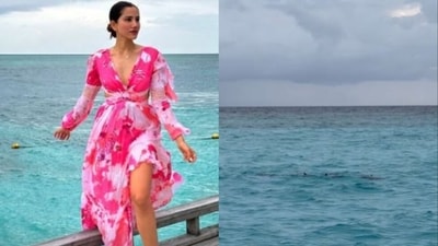 Sonnalli Seygall rose to fame in 2011 with her role in Luv Ranjan's Pyaar Ka Punchnama. After appearing in Pyaar Ka Punchnama, she featured in films such as High Jack, Ishq Da Rog and Jai Mummy Di among many others. 