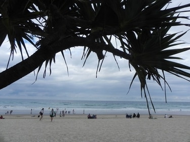 With 300 days of sunshine every year, warm blue water, and an average temperature of 25 degrees, the beaches of the Gold Coast draw around 11 million visitors to their shores every year. (Sandip Hor) With 300 days of sunshine every year, warm blue water, and an average temperature of 25 degrees, the beaches of the Gold Coast draw around 11 million visitors to their shores every year. (Sandip Hor)