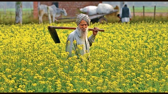 The Centre gives ₹2,000 in three instalments to farmers and it is a 100% centrally funded scheme. (HT File Photo)