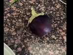 Woman roasts brinjal. Woman roasts brinjal.