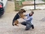Dog can’t contain its excitement after reuniting with its human after three years. Dog can’t contain its excitement after reuniting with its human after three years.