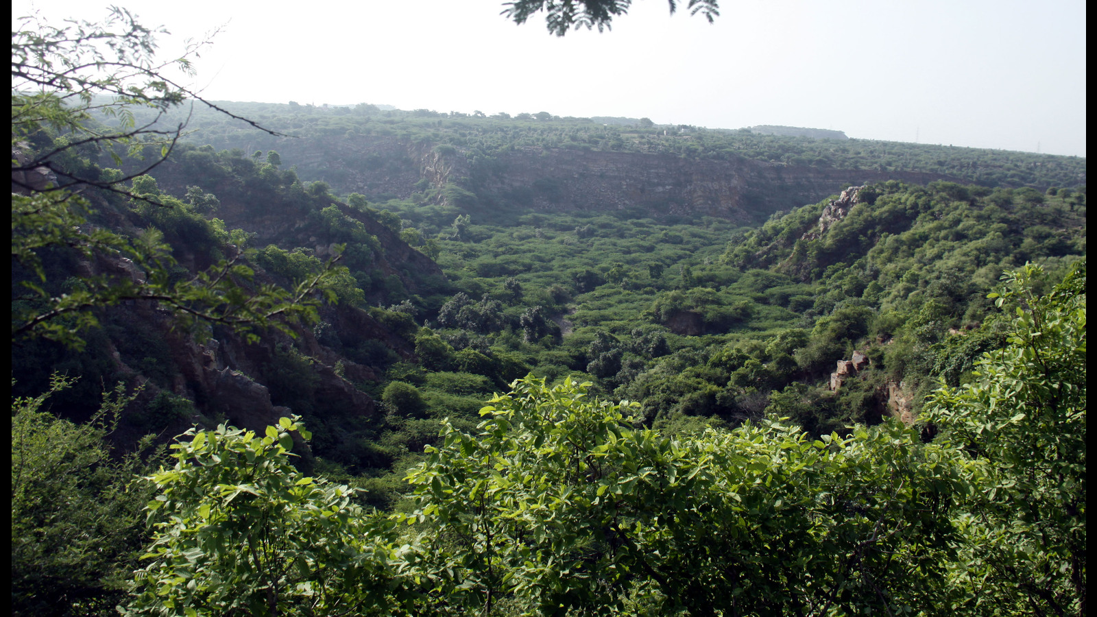 Compensatory afforestation in certain degraded forests cleared - Vimarsana News