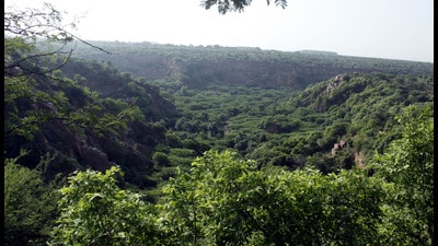 Compensatory afforestation is a means to offset the loss of forests due to diversion for various infrastructure and development projects by planting trees over the same extent of area in non-forest land (HT) Compensatory afforestation is a means to offset the loss of forests due to diversion for various infrastructure and development projects by planting trees over the same extent of area in non-forest land (HT)