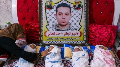 Newborn Palestinian quadruplets, conceived with smuggled sperm from their father imprisoned in Israel and depicted in the placard, are laid on a bed by their grandmother at their home in Gaza city, on June 13. (AFP) Newborn Palestinian quadruplets, conceived with smuggled sperm from their father imprisoned in Israel and depicted in the placard, are laid on a bed by their grandmother at their home in Gaza city, on June 13. (AFP)