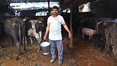 The Nand Baba Milk Mission, the minister said, was the government’s ambitious scheme to ramp up milk production and enhance the income of farmers in the state. (AFP)