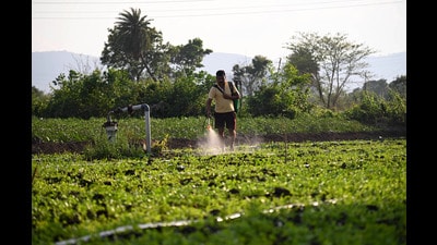 The success of PM-Pranam, the flagship scheme in the push towards natural farming, will squarely depend on the states. It seeks to hand out cash incentives to state governments that can cut their consumption of chemical soil nutrients. The success of PM-Pranam, the flagship scheme in the push towards natural farming, will squarely depend on the states. It seeks to hand out cash incentives to state governments that can cut their consumption of chemical soil nutrients.