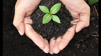 UP to start ‘one-tap-one-tree’ campaign (Sourced) UP to start ‘one-tap-one-tree’ campaign (Sourced)