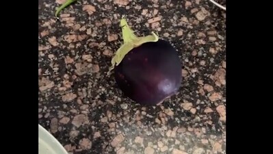 Woman roasts brinjal. (Twitter/@Susmita) Woman roasts brinjal. (Twitter/@Susmita)