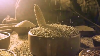 A still from the song Abundance in Millets. A still from the song Abundance in Millets.