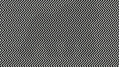 Optical Illusion: Can you spot the hidden animal in this picture? (Reddit/opticalillusions) Optical Illusion: Can you spot the hidden animal in this picture? (Reddit/opticalillusions)