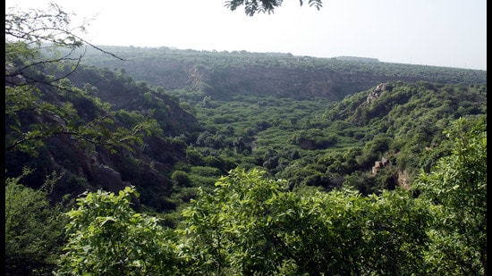 Compensatory afforestation is a means to offset the loss of forests due to diversion for various infrastructure and development projects by planting trees over the same extent of area in non-forest land (HT)