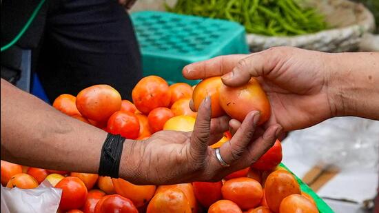 The high mercury levels over the past few days has adversely affected the supply of tomatoes, leading to its prices seeing an almost 300% jump over the past 15 days. (PTI)