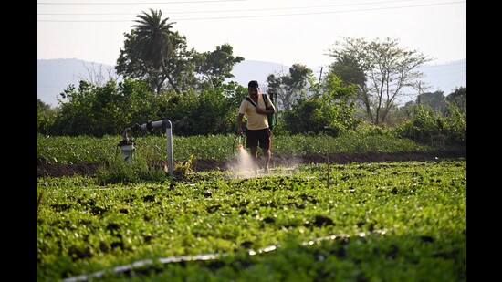 The success of PM-Pranam, the flagship scheme in the push towards natural farming, will squarely depend on the states. It seeks to hand out cash incentives to state governments that can cut their consumption of chemical soil nutrients.