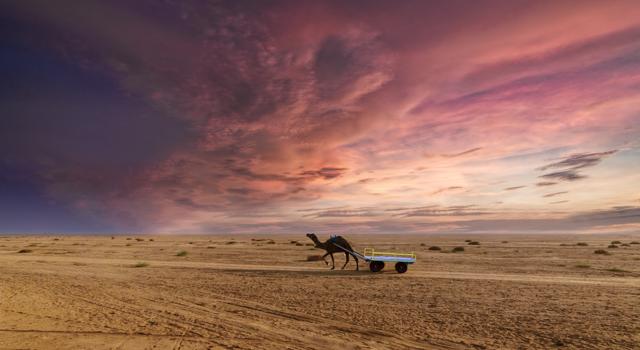 (Rann of Kutch, Gujarat) (Rann of Kutch, Gujarat)
