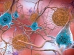 Neurons linked to chronic stress: Research