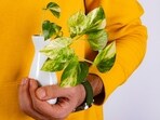 plant_that_releases_oxygen