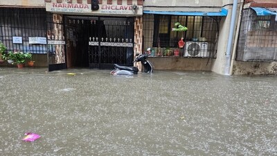  A 22-year-old person was killed and another one injured on Thursday after a tree fell on their hut in Mumbai. This is the third death here in two days in tree fall incidents amid rains. (HT Photo/Azim Tamboli) A 22-year-old person was killed and another one injured on Thursday after a tree fell on their hut in Mumbai. This is the third death here in two days in tree fall incidents amid rains. (HT Photo/Azim Tamboli)
