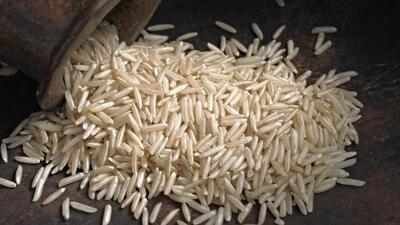 500 farmers sensitised to produce pesticide residue free basmati