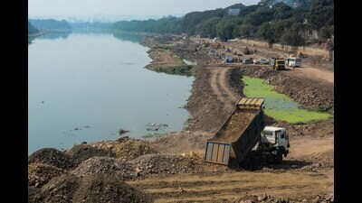 Maharashtra State Tree Authority will take a call on Pune Municipal Corporation’s (PMC) proposal to cut over 6,000 trees. (Shankar Narayan/HT Photo)