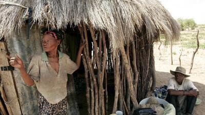 Sethlobogabotshelo Phuduhudu (left) talks to her husband Letshwao Nogayame in front of their home in Kaudwane village, about 200km from Gaborone, Botswana, on December 12, 2006. Nagayame and some 1,000 other Bushmen were one of the world's last surviving hunter-gatherers who foraged for wild plants for 20,000 years (Pic for representational purpose only). (REUTERS) Sethlobogabotshelo Phuduhudu (left) talks to her husband Letshwao Nogayame in front of their home in Kaudwane village, about 200km from Gaborone, Botswana, on December 12, 2006. Nagayame and some 1,000 other Bushmen were one of the world's last surviving hunter-gatherers who foraged for wild plants for 20,000 years (Pic for representational purpose only). (REUTERS)
