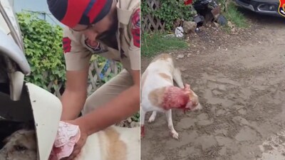The image shows a policeman from Amritsar helping a trapped dog. (Twitter/@cpamritsar) The image shows a policeman from Amritsar helping a trapped dog. (Twitter/@cpamritsar)