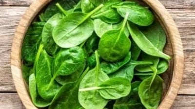 Vitamin B2 deficiency also leads to oily skin. More spinach and chickpeas in the diet can help in addressing the deficiency. (Unsplash) Vitamin B2 deficiency also leads to oily skin. More spinach and chickpeas in the diet can help in addressing the deficiency. (Unsplash)