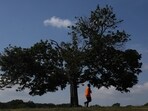 A man jogs during sunny weather at Cunningham Park in the Queens borough of New York City, US.
