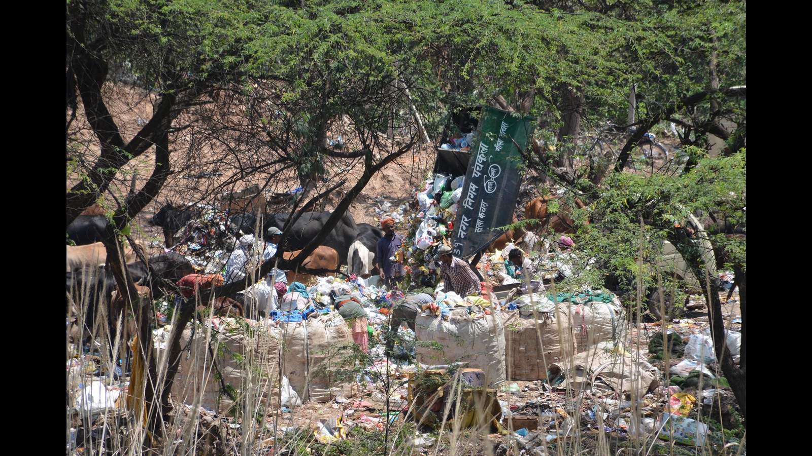 FIR lodged as Baddi garbage dumped in Panchkula - Vimarsana News