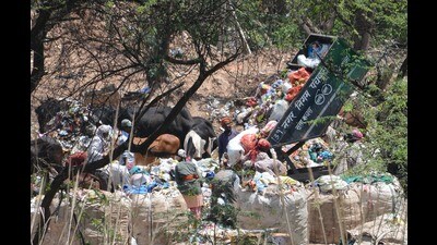 Currently, as part of a temporary arrangement, city’s entire waste is being sent to Patvi, Ambala, for processing. Previously, it was being dumped at Jhuriwala village. (Sant Arora/HT) Currently, as part of a temporary arrangement, city’s entire waste is being sent to Patvi, Ambala, for processing. Previously, it was being dumped at Jhuriwala village. (Sant Arora/HT)