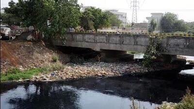MC organises special cleanliness drive along Buddha nullah in Ludhiana. (HT FILE)