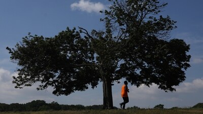 A man jogs during sunny weather at Cunningham Park in the Queens borough of New York City, US. (Reuters)