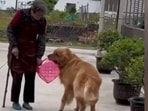 The image, taken from the viral video, shows the dog and its human. The image, taken from the viral video, shows the dog and its human.