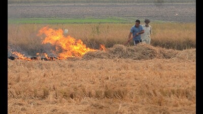 As per the revised guidelines, techno-commercial pilot projects for paddy straw supply chain will be established under the bilateral agreement between the beneficiary/aggregator and industries utilising the paddy straw, the agriculture ministry said in a statement (HT File)