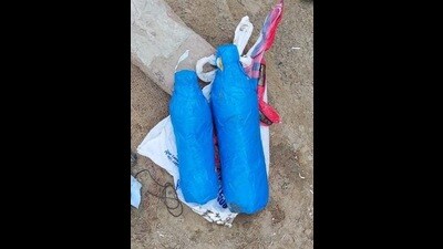 The BSF troops observed suspicious articles flowing in Sutlej near village Rao-Ke and managed to bring the suspected floating articles to the bank of the river. (HT Photo)