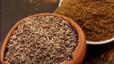 The demand-supply mismatch that has driven cumin prices to a record high has left the buyers shocked. (Pic for representation)