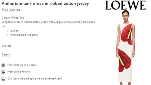 The price of Malaika Arora's dress from Arjun Kapoor's birthday bash. (loewe.com) The price of Malaika Arora's dress from Arjun Kapoor's birthday bash. (loewe.com)