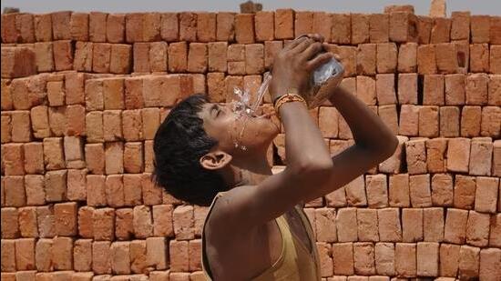 Ludhiana sweats through hottest June in 13 yrs, records 15% rainfall deficiency . (HT FILE)