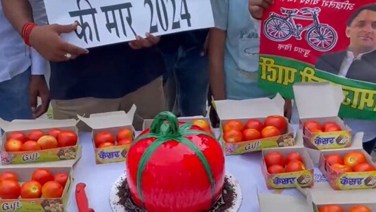 According to the video, the party workers can be seen celebrating the birthday with a tomato shaped cake. (PTI)