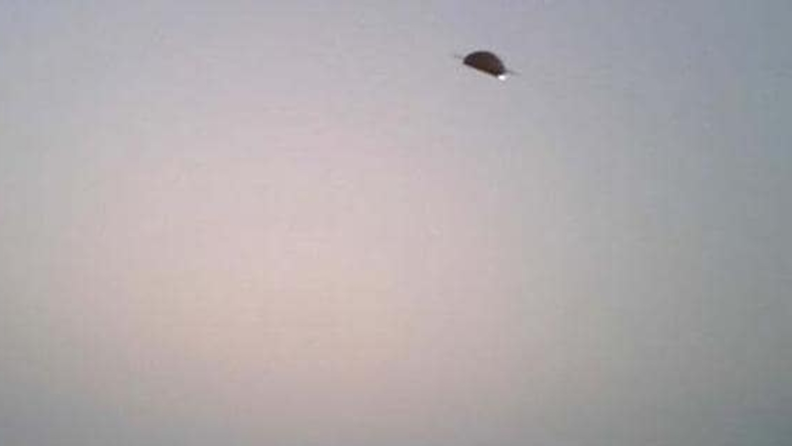 World UFO Day 2023: Why is it celebrated? Know its history, significance - Vimarsana News